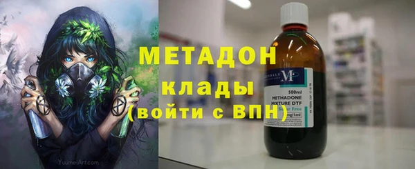 стаф Алзамай